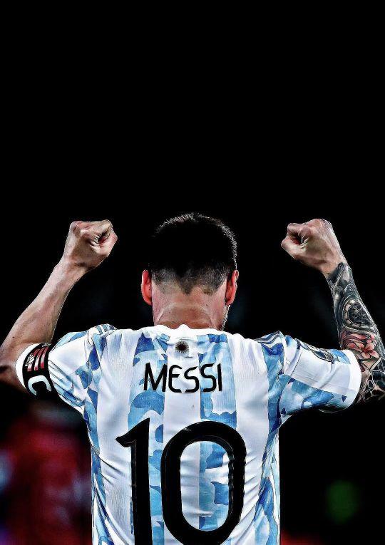 记者：热刺不会在冬窗召回武什科维奇，球员将留在汉堡（记者：热刺冬窗不召回武什科维奇，球员将继续效力汉堡）